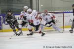 Photo hockey match Rouen - Brianon  le 28/01/2014