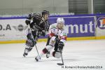 Photo hockey match Rouen - Brianon  le 28/01/2014