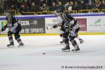 Photo hockey match Rouen - Brianon  le 28/01/2014