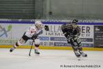 Photo hockey match Rouen - Brianon  le 28/01/2014