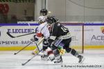 Photo hockey match Rouen - Brianon  le 28/01/2014