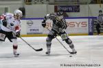 Photo hockey match Rouen - Brianon  le 28/01/2014