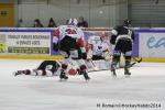 Photo hockey match Rouen - Brianon  le 28/01/2014