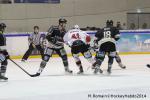 Photo hockey match Rouen - Brianon  le 28/01/2014