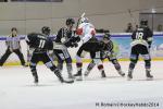 Photo hockey match Rouen - Brianon  le 28/01/2014