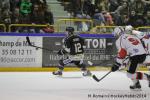 Photo hockey match Rouen - Brianon  le 28/01/2014