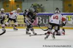 Photo hockey match Rouen - Brianon  le 28/01/2014