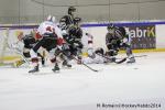 Photo hockey match Rouen - Brianon  le 28/01/2014