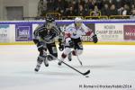 Photo hockey match Rouen - Brianon  le 28/01/2014