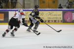 Photo hockey match Rouen - Brianon  le 28/01/2014