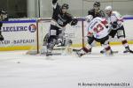 Photo hockey match Rouen - Brianon  le 28/01/2014