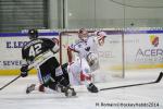 Photo hockey match Rouen - Brianon  le 28/01/2014
