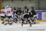 Photo hockey match Rouen - Brianon  le 28/01/2014