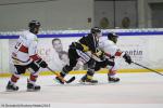 Photo hockey match Rouen - Brianon  le 10/01/2015