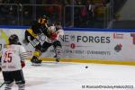 Photo hockey match Rouen - Brianon  le 15/01/2023