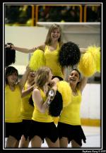 Photo hockey match Rouen - Brianon  le 28/03/2008