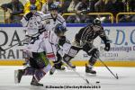 Photo hockey match Rouen - Caen  le 01/10/2013