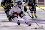 Photo hockey match Rouen - Caen  le 20/09/2014