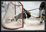 Photo hockey match Rouen - Caen  le 16/09/2008
