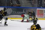 Photo hockey match Rouen - Cergy-Pontoise le 22/09/2023