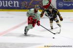 Photo hockey match Rouen - Cergy-Pontoise le 22/03/2024