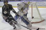 Photo hockey match Rouen - Chamonix  le 28/02/2014