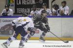 Photo hockey match Rouen - Chamonix  le 28/02/2014