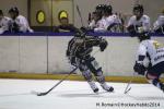 Photo hockey match Rouen - Chamonix  le 28/02/2014