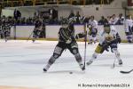 Photo hockey match Rouen - Chamonix  le 28/02/2014
