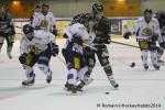 Photo hockey match Rouen - Chamonix  le 28/02/2014