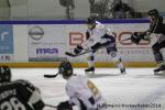 Photo hockey match Rouen - Chamonix  le 28/02/2014