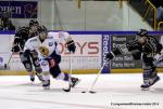 Photo hockey match Rouen - Chamonix  le 01/03/2014