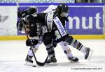 Photo hockey match Rouen - Chamonix  le 01/03/2014