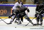 Photo hockey match Rouen - Chamonix  le 01/03/2014
