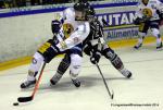 Photo hockey match Rouen - Chamonix  le 01/03/2014