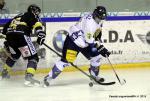 Photo hockey match Rouen - Chamonix  le 23/01/2015