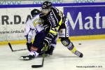 Photo hockey match Rouen - Chamonix  le 23/01/2015