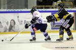 Photo hockey match Rouen - Chamonix  le 23/01/2015