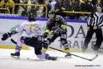 Photo hockey match Rouen - Chamonix  le 23/01/2015