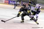 Photo hockey match Rouen - Chamonix  le 23/01/2015