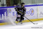 Photo hockey match Rouen - Chamonix  le 23/01/2015