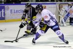 Photo hockey match Rouen - Chamonix  le 23/01/2015