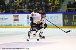 Photo hockey match Rouen - Chamonix  le 02/01/2019