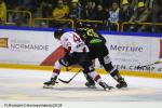 Photo hockey match Rouen - Chamonix  le 01/03/2019