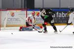 Photo hockey match Rouen - Chamonix  le 21/01/2020