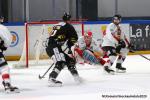 Photo hockey match Rouen - Chamonix  le 21/01/2020