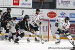 Photo hockey match Rouen - Chamonix  le 16/01/2021