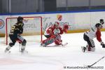 Photo hockey match Rouen - Chamonix  le 01/03/2022