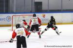Photo hockey match Rouen - Chamonix  le 01/03/2022