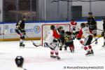 Photo hockey match Rouen - Chamonix  le 01/03/2022